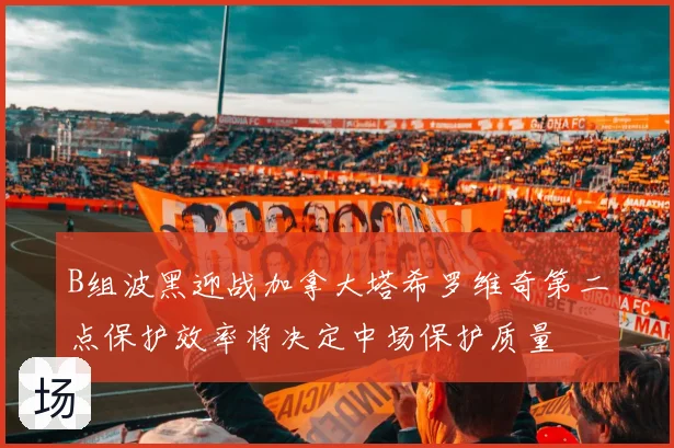 B组波黑迎战加拿大塔希罗维奇第二点保护效率将决定中场保护质量